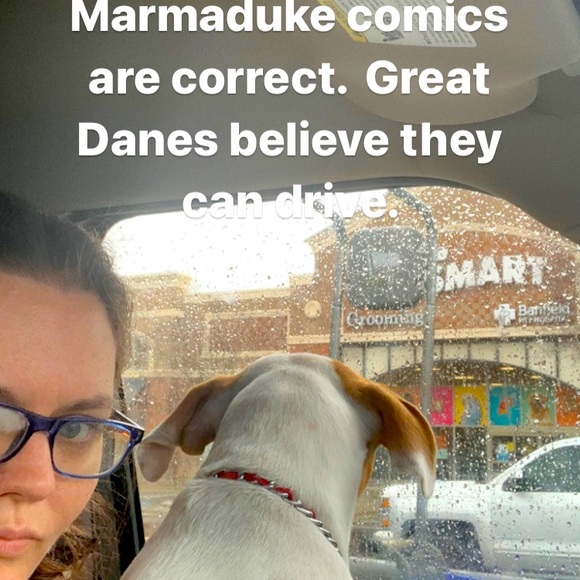 Meet your Posher, Laura - Picture 1 of 1